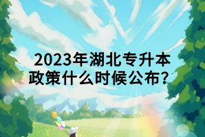 2023年湖北專升本政策什么時候公布？